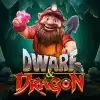 Dwarf & Dragon