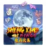 Sheng Xiao Bingo