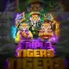 Triple Tigers