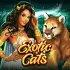 Exotic Cats