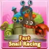 Fast Snail Racing