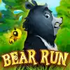 Bear Run