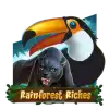 Rainforest Riches